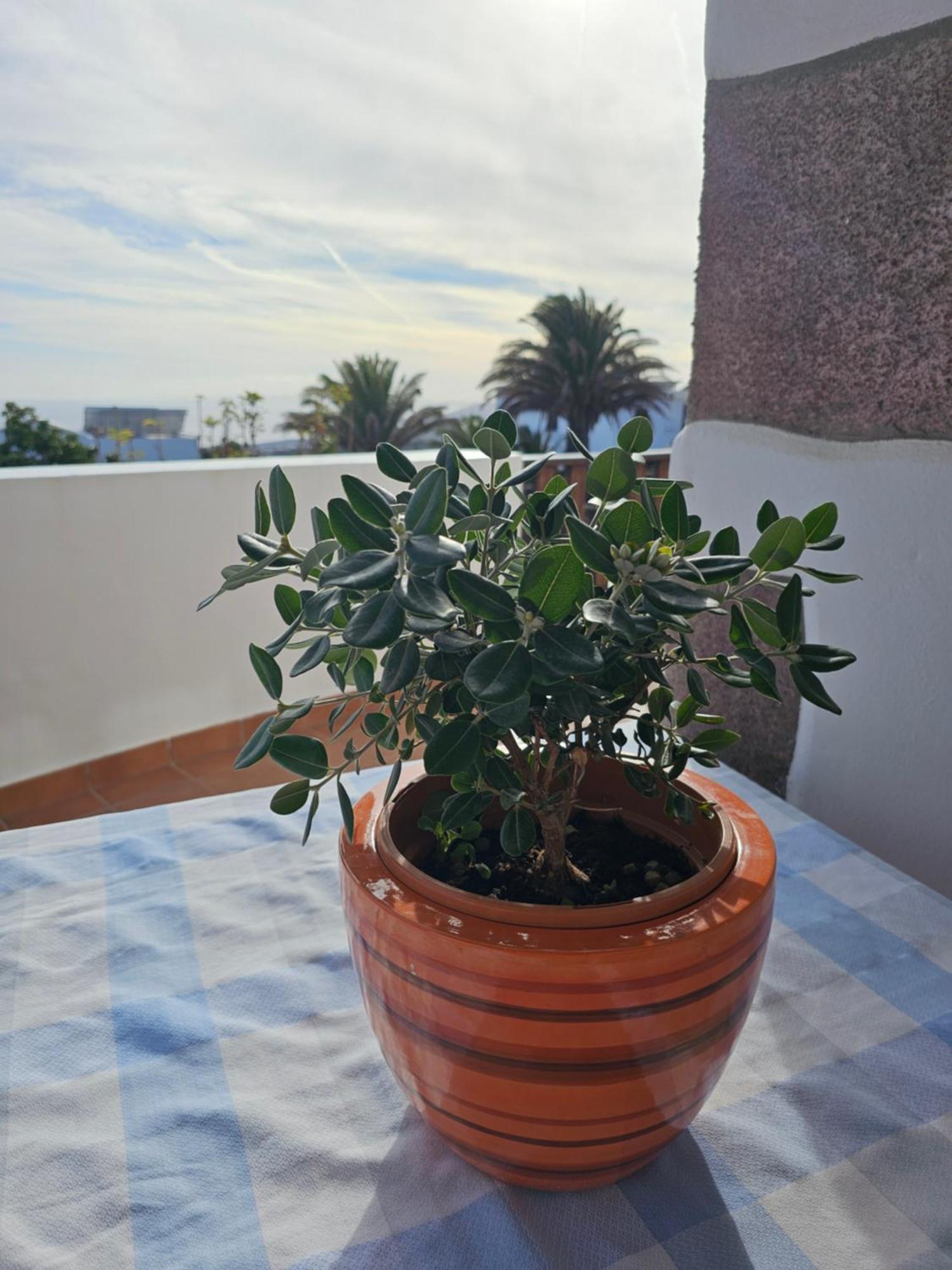 Casa Layka, Con Maravillosas Vistas Al Mar La Asomada  エクステリア 写真